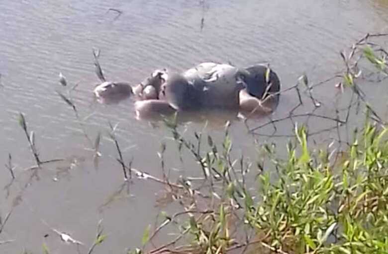 O corpo de um bebê recém nascido foi encontrado em uma represa no assentamento Aliança, em Itaquiraí