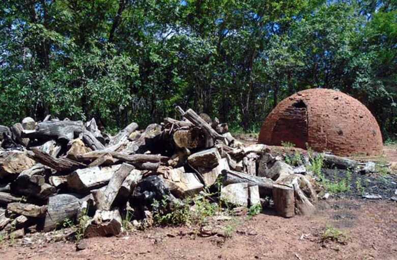 carvoaria que funcionava de forma ilegal, em uma fazenda