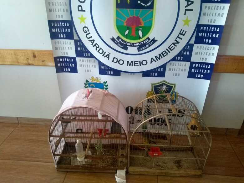 As aves foram resgatadas e serão encaminhadas ao CRAS de Campo Grande