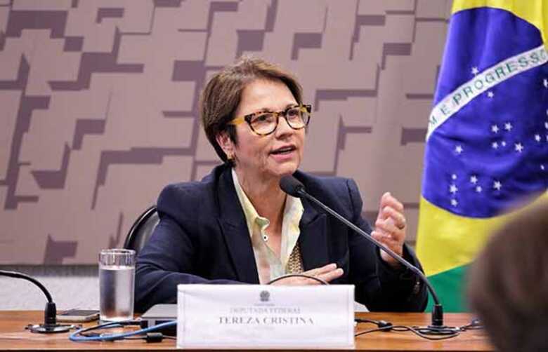 A futura ministra Tereza Cristina defende premiação para ruralistas que cumprirem lei
