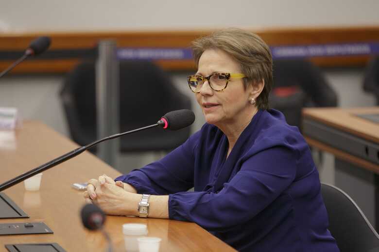 Tereza Cristina deputada licenciada e atual ministra da Agricultura trabalho para aquisição dos ônibus escolares