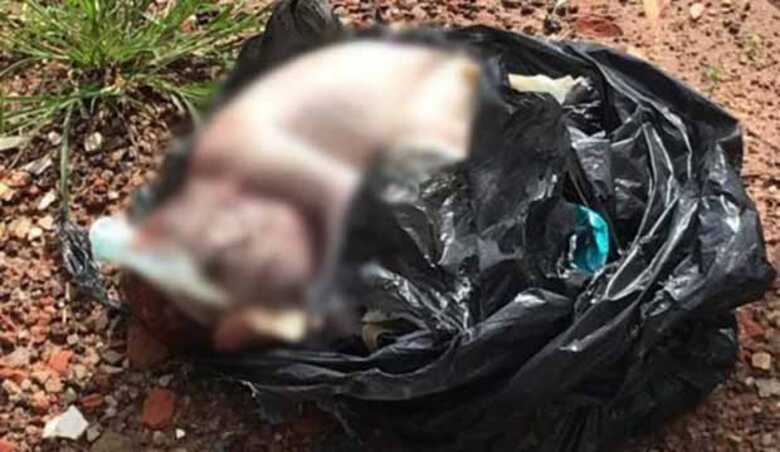 O bebê foi colocado dentro de um saco de lixo pela mãe