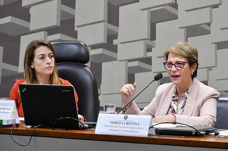 Ao lado da senadora Soraya Thronicke (PSL-MS), Tereza apresenta diretrizes importantes de sua pasta