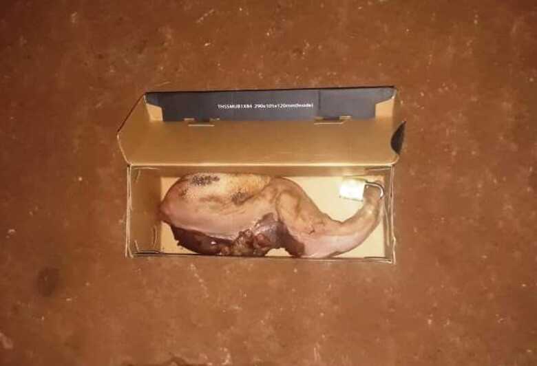 A língua de boi estava dentro de uma caixa