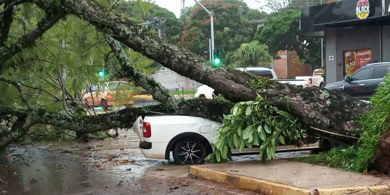 Algumas motocicletas e carros ficaram danificados após queda de árvores