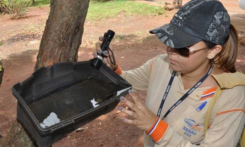 Agentes irão fazer vistorias em imóveis e terrenos baldios, além de atuar na remoção de materiais inservíveis e eliminação e identificação de depósitos e focos do mosquito