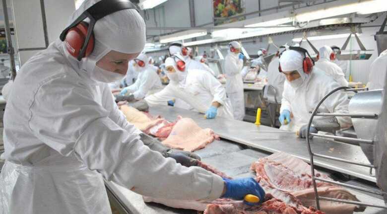 As vagas são para um frigorífico da capital