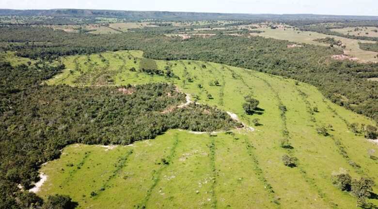 A Polícia Militar Ambiental (PMA) constatou o desmate ilegal de 19 hectares na fazenda, em Coxim