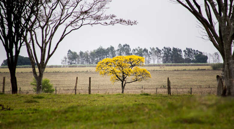 O dia será chuva em maior parte do estado