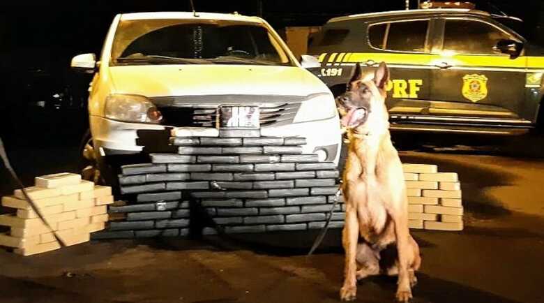 A droga foi achada no assoalho do carro
