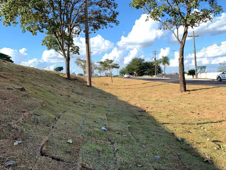 O projeto busca reduzir custos com manutenção de áreas públicas por meio da troca da vegetação existente pela grama esmeralda