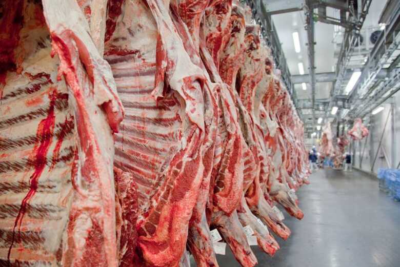 A EEB, uma doença bovina, foi confirmada em uma vaca de corte, com idade de 17 anos, no estado de Mato Grosso