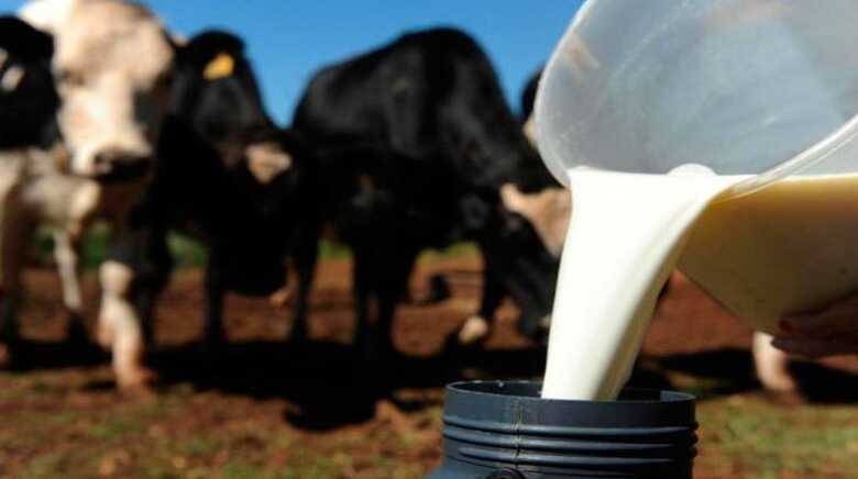 A queda na produção do leite em Mato Grosso do Sul atingiu 46% nos últimos quatro anos