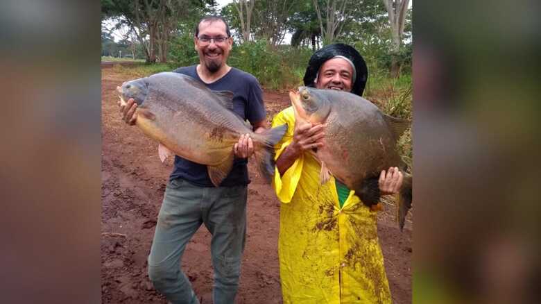 Todos os animais aquáticos retirados do lago maior aguardam para serem devolvidos ao antigo habitat