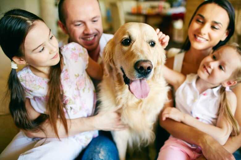 Memorial Maranhense afirmou que já existem leis estaduais permitindo o sepultamento de cães junto a pessoas