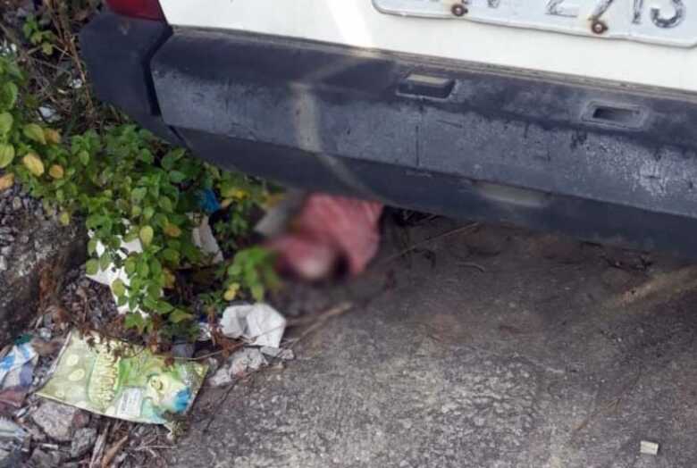 A crian&ccedil;a ser&aacute; acolhida pelo programa Fam&iacute;lia Acolhedora, que ir&aacute; encaminh&aacute;-la para ado&ccedil;&atilde;o