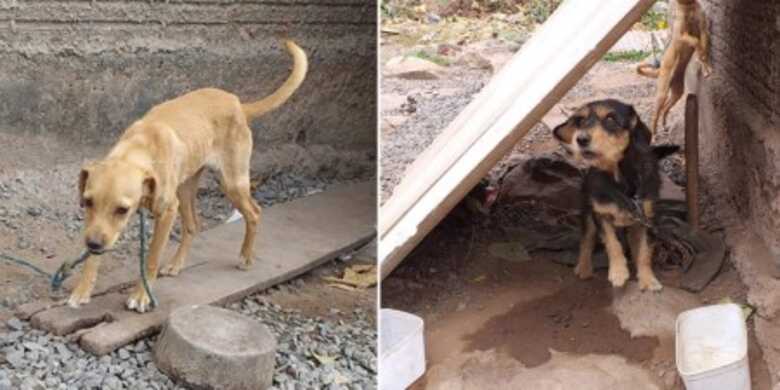 O infrator, mesmo n&atilde;o sendo encontrado, foi qualificado e autuado administrativamente em R$ 1mil