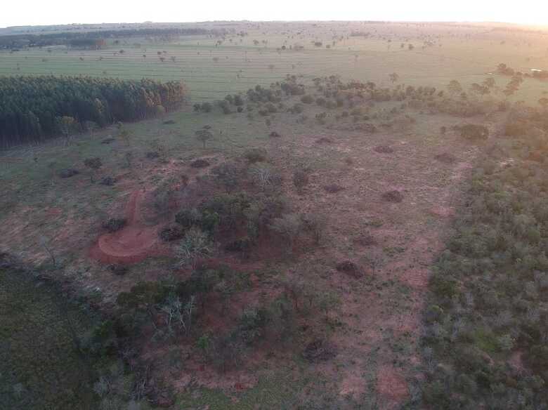 Policiais autuaram o proprietário de uma fazenda por crime de desmatamento sem autorização ambiental