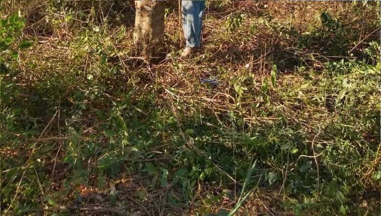 Os militares preservaram o local até a chegada da perícia