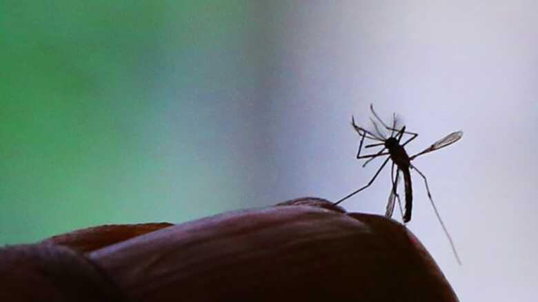 Medicamento anti-inflamatório chamado, infliximab, em alguns casos, pode ajudar no tratamento de alguns pacientes adultos com as complicações da zika