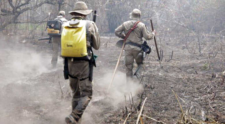 Força-tarefa mantém mobilização no Pantanal para evitar reincidência