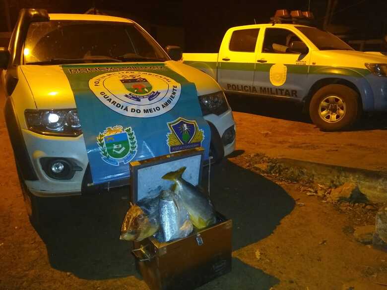 O pescado ser&aacute; doado para institui&ccedil;&otilde;es filantr&oacute;picas, depois de periciado