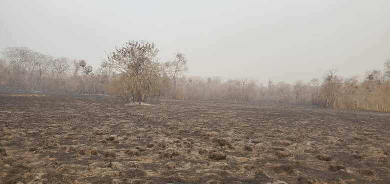 Em 2019, mais de 1.500 hectares já foram incendiados