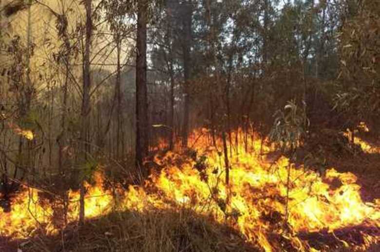 Incêndios aumentaram em BH e Região Metropolitana