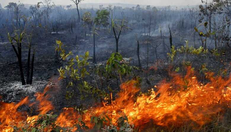Mato Grosso registrou 8.030 focos de calor em agosto deste ano