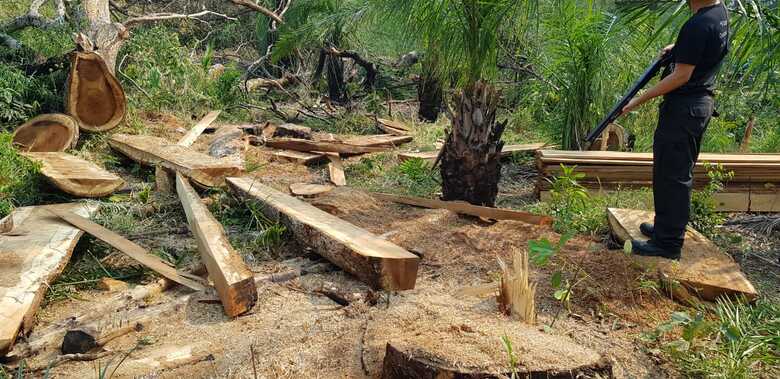 Lascas de ipê foram encontrados na propriedade e apreendidos, na Serra da Bodoquena