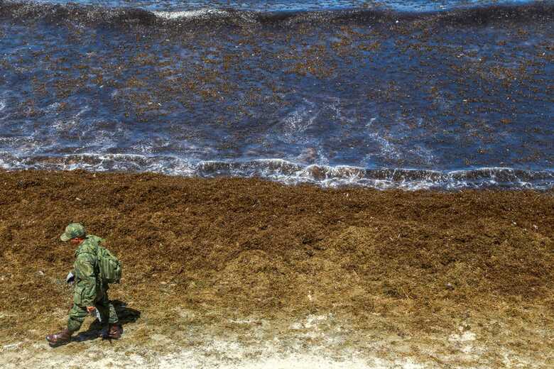 Fragmentos de óleo emulsificado foram encontrados espalhados por um trecho de cerca de 500 metros da praia de Pilar