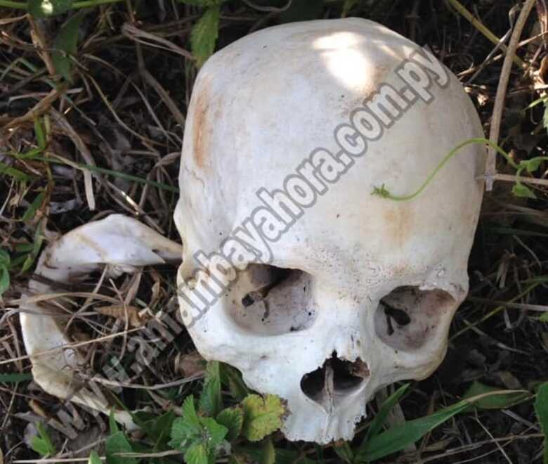 Ossada encontrada na Estância Taguato, na cidade paraguaia de Zanja Pytã, fronteira com MS