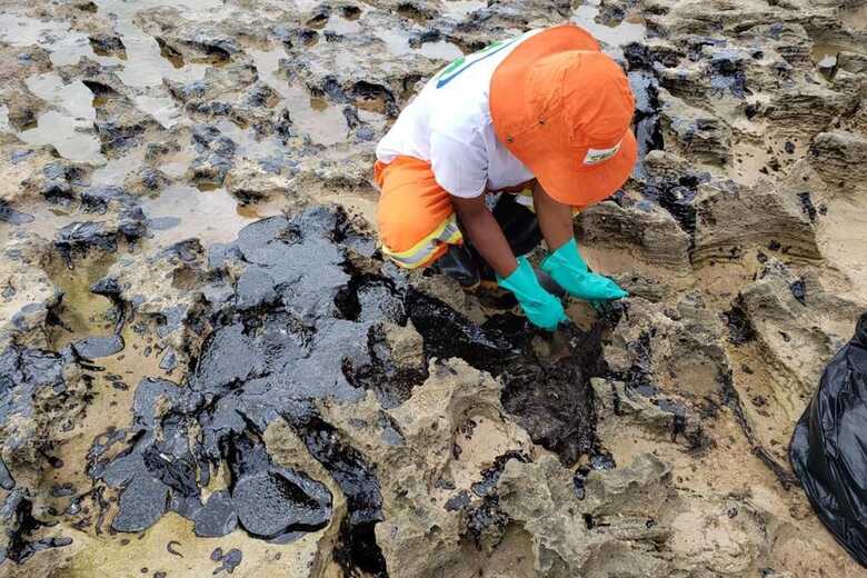 Voluntário recolhendo óleo da praia nordestina