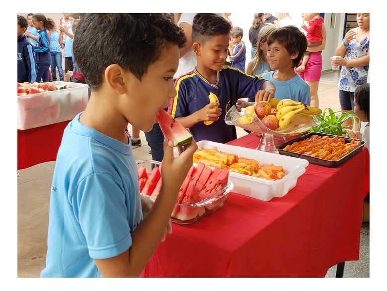 O projeto apresentado pelo vereador é chamado de "Programa Municipal de Merenda Escolar Vegetariana"