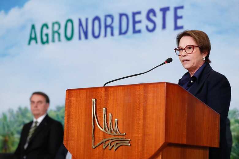 A ministra Tereza Cristina durante lançamento do AgroNordeste, no Planalto