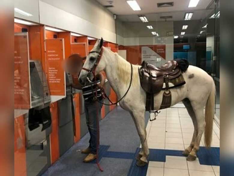 Homem foi sacar dinheiro na agência do Itaú com seu cavalo, Imperador
