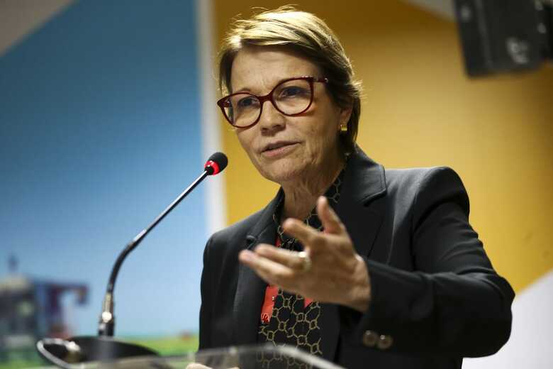 A ministra da Agricultura, Pecuária e Abastecimento, Tereza Cristina