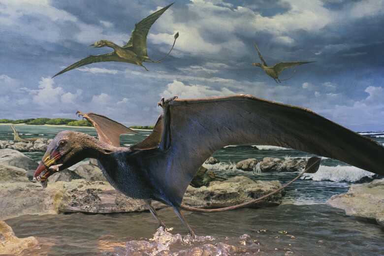 A nova espécie tinha cerca de 1 metro e 32 cm de uma ponta a outra das asas