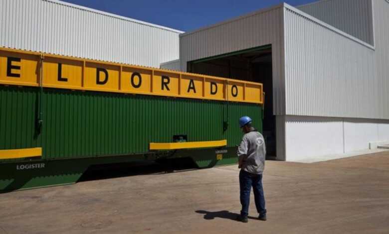 A Eldorado tornou-se uma das maiores empresas de celulose do Brasil