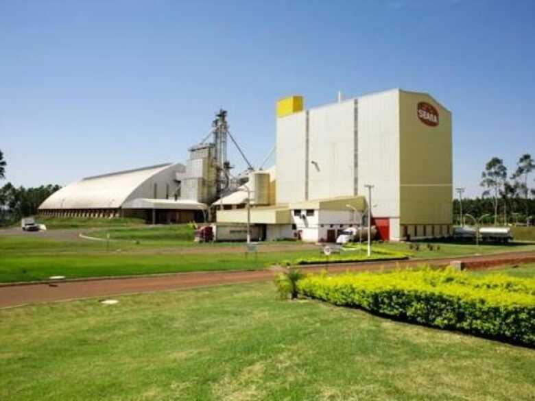 A sele&ccedil;&atilde;o come&ccedil;a no dia 8 de janeiro e ocorrer&aacute; todas as quartas-feiras, das 7h &agrave;s 13h