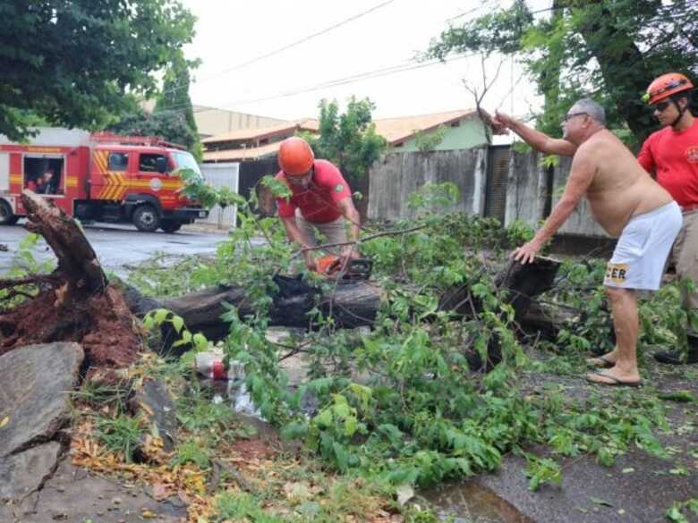 O temporal tamb&eacute;m provocou a queda de &aacute;rvores que atingiram a fia&ccedil;&atilde;o el&eacute;trica na Vila Carvalhp