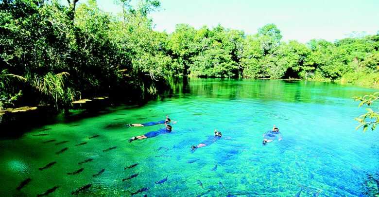 Bonito venceu 14 das 15 edi&ccedil;&otilde;es em que participou do pr&ecirc;mio