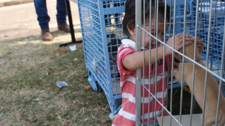 Feira de ado&ccedil;&otilde;es ser&aacute; feita no s&aacute;bado at&eacute; &agrave;s 17h
