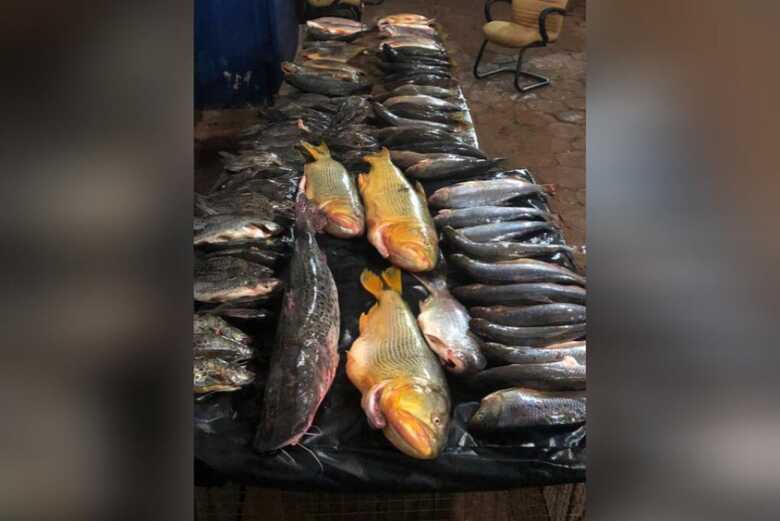 O pescado será doado para instituições filantrópicas