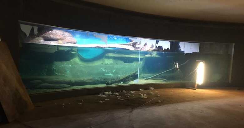 Tanques serão impermeabilizados e vedados no Aquário do Pantanal