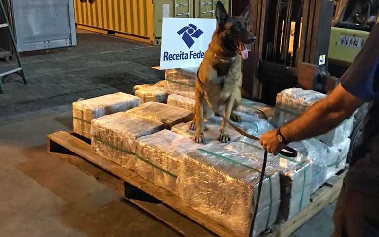 Foram encontrados 300 tabletes de cocaína pura no fundo da carga