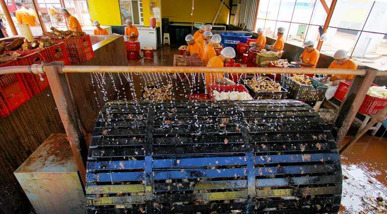 A cada tr&ecirc;s dias trabalhados, presos t&ecirc;m o direito de h&aacute; um dia a menos na pena