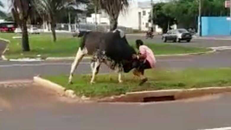 Homem que tentou encarar o touro &eacute; um andarilho conhecido como Madruga