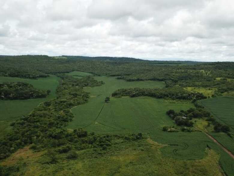 Desmatamento ilegal de vegetação em Guia Lopes da Laguna