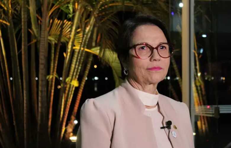 Ministra da Agricultura, Pecu&aacute;ria e Abastecimento, Tereza Cristina